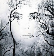 гештальт психотерапия экзистенциальный и феноменологический подход